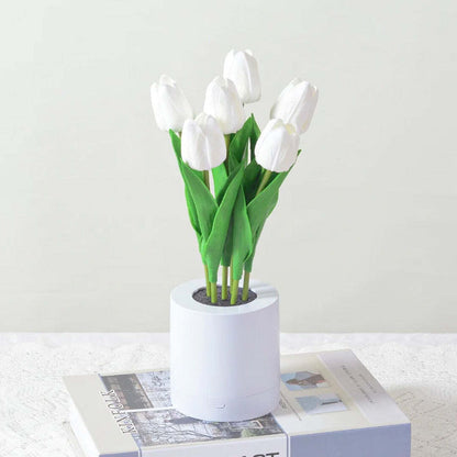 🎁Ends Today: 70% OFF! 🏆 2026 Best Seller