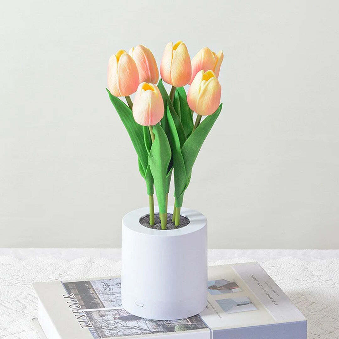 🎁Ends Today: 70% OFF! 🏆 2026 Best Seller